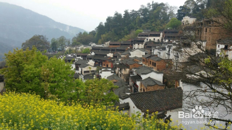 婺源旅游攻略，自由行攻略，探索最美的鄉(xiāng)村風(fēng)光，婺源鄉(xiāng)村風(fēng)光探索，旅游攻略與自由行攻略