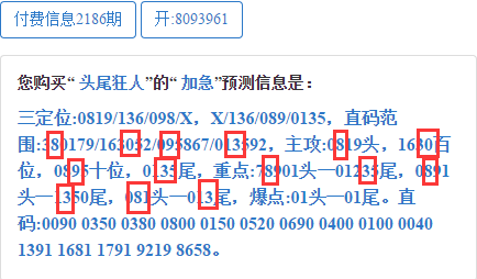 大三巴網(wǎng)平特一肖，探索與解析，大三巴網(wǎng)平特一肖，深度探索與解析