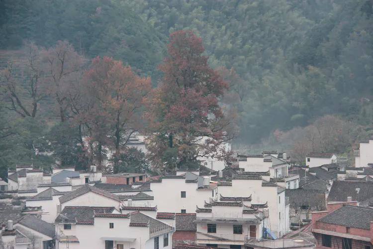 婺源旅游攻略二日游，探索最美的鄉(xiāng)村風(fēng)光，婺源二日游攻略，探尋鄉(xiāng)村風(fēng)光之美