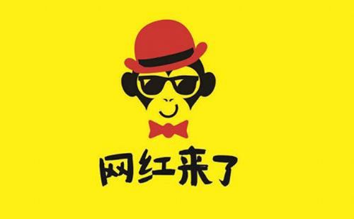 明星肖像代言，預(yù)算5萬以下如何巧妙獲取影響力，預(yù)算五萬以下如何巧妙利用明星肖像代言提升影響力