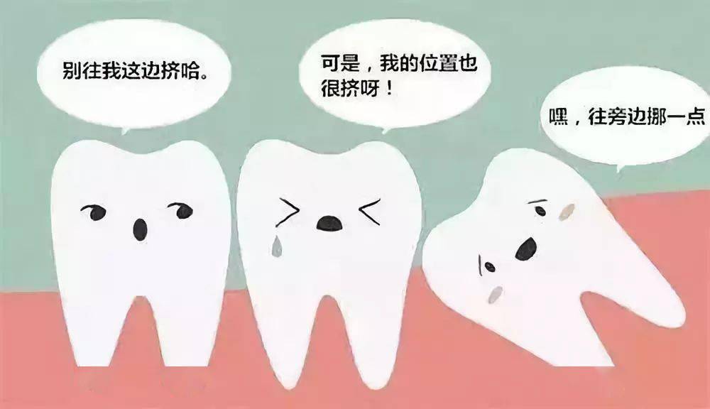 智齒一定要拔嗎？深入了解智齒及其處理建議，智齒必須拔除嗎？智齒的深入了解與處理建議探討