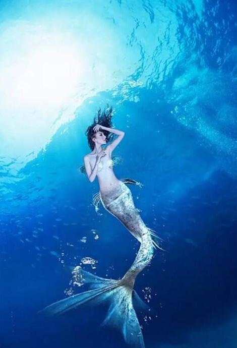 搜索引擎優(yōu)化策略