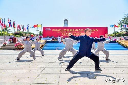 王中王論壇資料一肖，深度解析與SEO優(yōu)化策略，王中王論壇資料一肖深度解析與SEO優(yōu)化策略全攻略