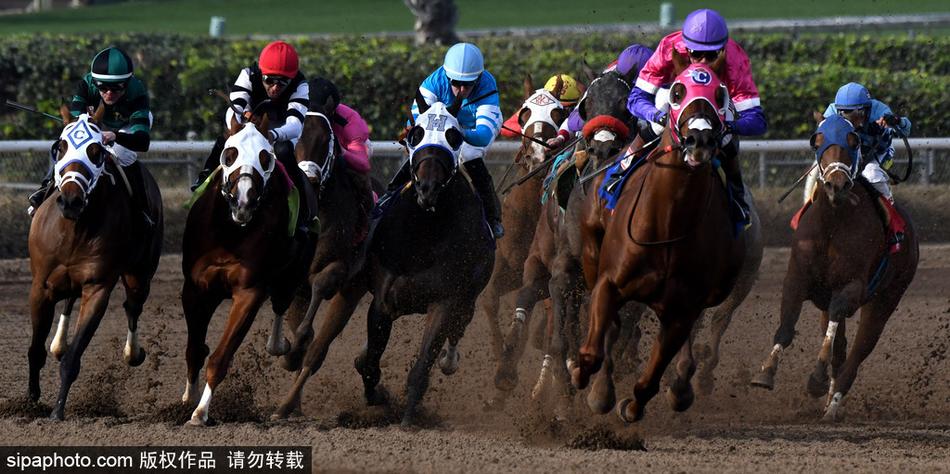 揭秘2019王中王一肖，才華橫溢的影視新星，揭秘影視新星王中王一肖，才華橫溢的2019新星之光