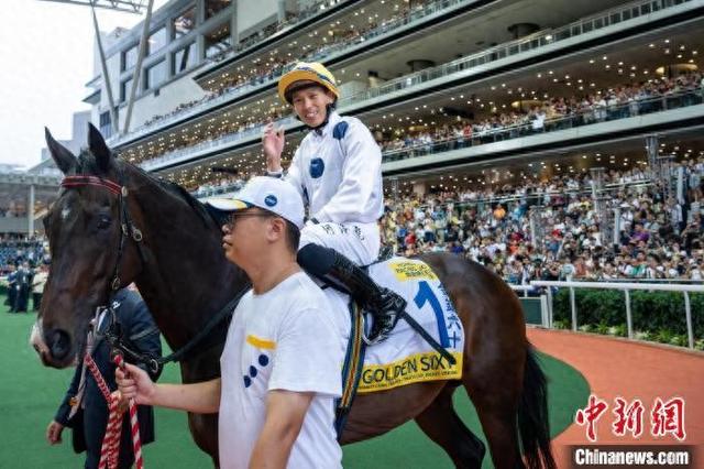 香港特馬王資料免費公開，揭秘背后的秘密與真相，香港特馬王資料揭秘，背后的秘密與真相免費公開