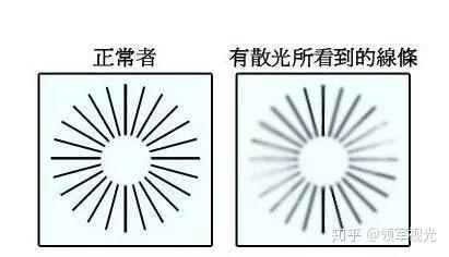 費用因素與選擇策略