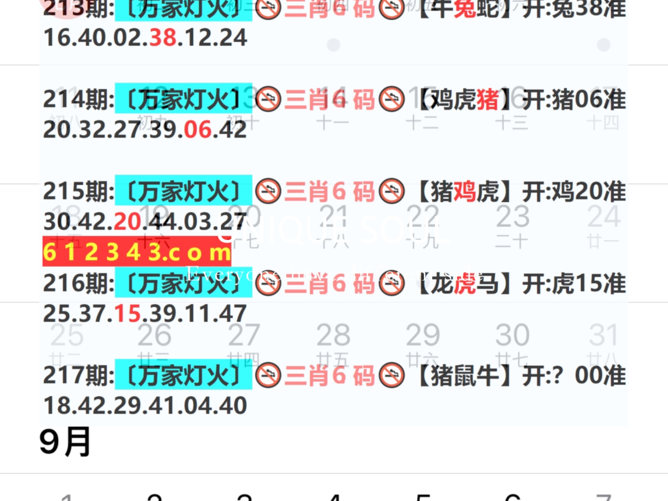 新奧門期期免費資料——探索澳門博彩文化的獨特魅力，澳門博彩文化獨特魅力探索，新奧門期期免費資料揭秘