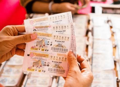 香港平特一肖王中王，揭秘彩票背后的秘密與策略，揭秘彩票背后的秘密與策略，香港平特一肖王中王探討彩票世界