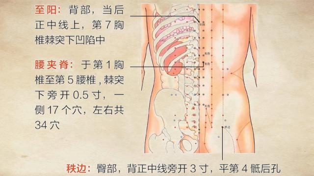 后背疼痛對照表，原因、癥狀與解決方案，后背疼痛對照手冊，原因、癥狀與解決方案全解析