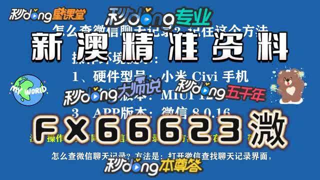 新澳門精準(zhǔn)24個碼，探索與解析，新澳門精準(zhǔn)24個碼深度解析與探索