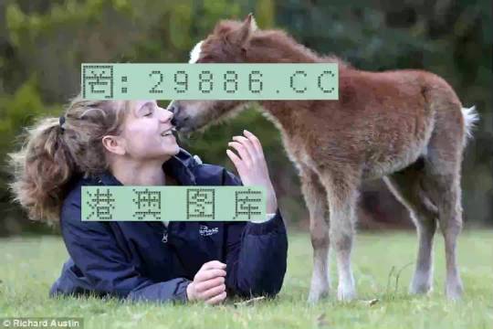 澳門今晚必開一肖一特，探索生肖與運(yùn)勢(shì)的神秘面紗，澳門今晚生肖運(yùn)勢(shì)揭秘，探索生肖與運(yùn)勢(shì)的神秘聯(lián)系