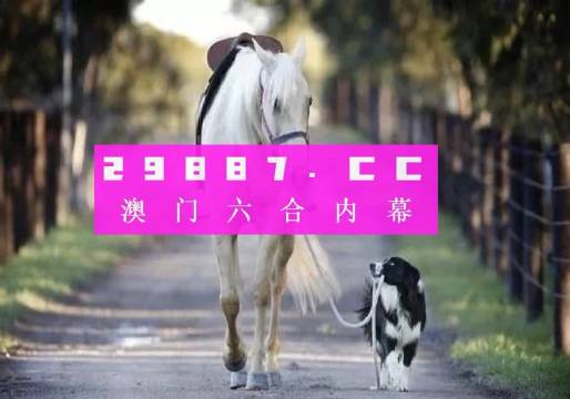 全面解析49碼資料圖庫(kù)——你的資料寶庫(kù)，全面解析49碼資料圖庫(kù)，你的資料寶庫(kù)首選