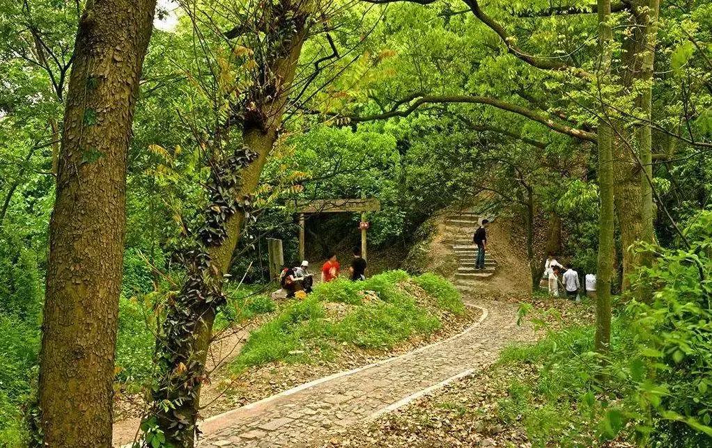 SEO優(yōu)化策略深度探討