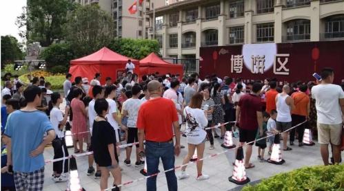 揭秘2019年王中王一肖，星途璀璨的背后故事，揭秘王中王一肖星途璀璨，2019年背后的故事