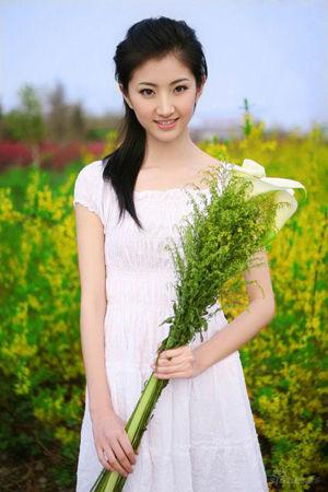 新澳門彩出號綜合走勢分析，澳門彩票出號走勢綜合解析