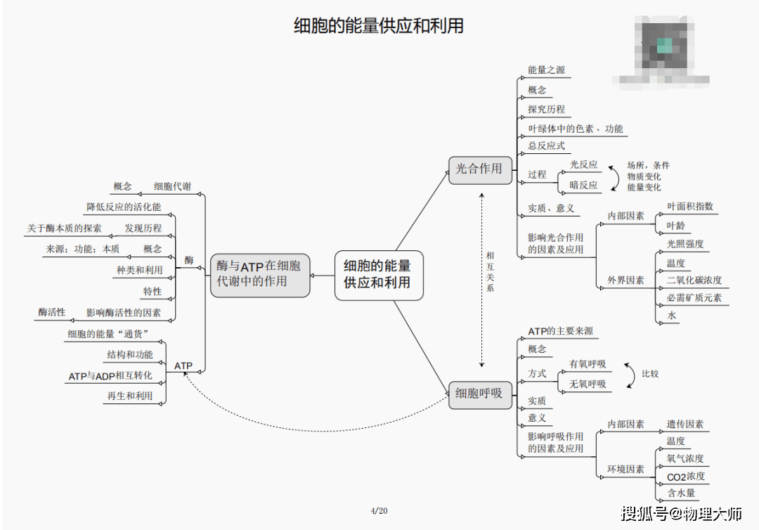 王中王血肖三期必出一期，深度解析與預(yù)測，王中王血肖三期深度解析與預(yù)測，揭秘必出一期的奧秘