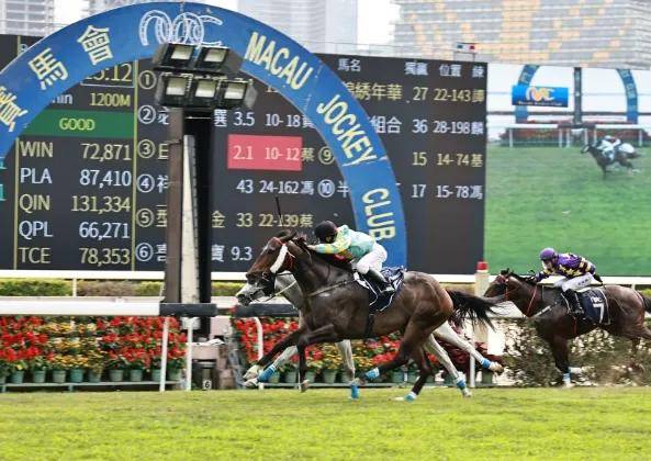 新澳門今晚開特馬結(jié)果，探索澳門博彩文化背后的秘密，澳門博彩文化揭秘，探尋今晚特馬結(jié)果背后的秘密
