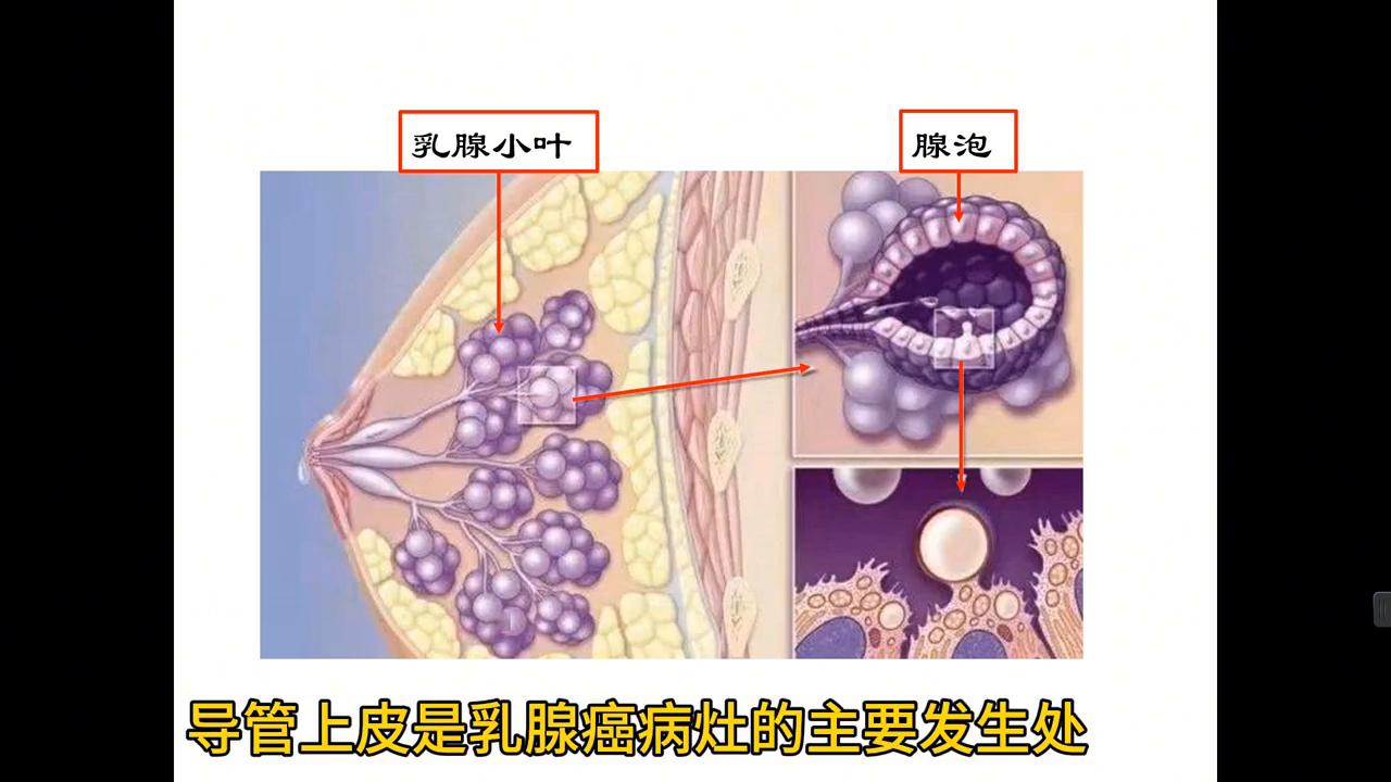 乳房懸吊術(shù)，重塑女性自信的秘訣，乳房懸吊術(shù)，重塑自信魅力的秘密武器
