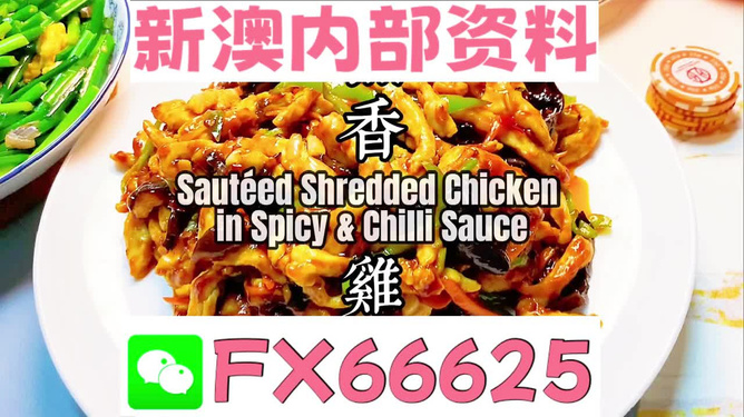 新奧最精準(zhǔn)免費大全，全方位指南與秘籍，新奧最精準(zhǔn)免費大全，全方位指南與秘籍總覽