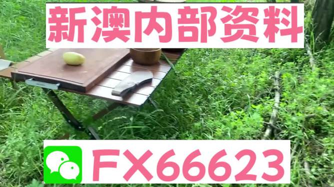 新澳內(nèi)部資料精準(zhǔn)一碼，揭秘背后的秘密與策略洞察，揭秘新澳內(nèi)部精準(zhǔn)一碼，背后的秘密與策略洞察全解析