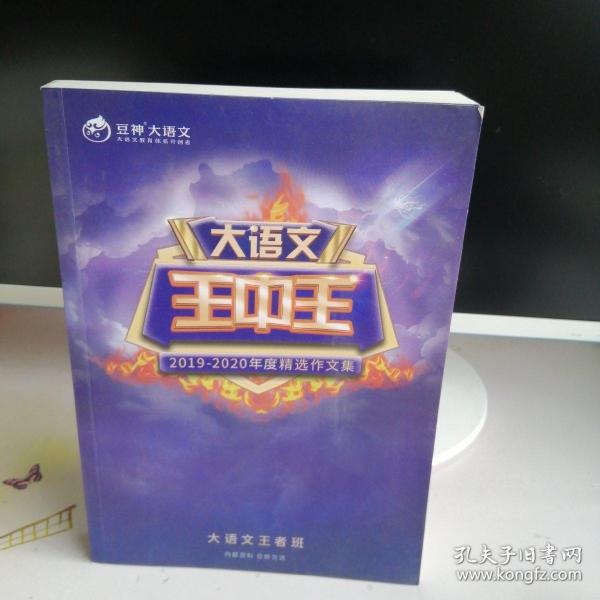 揭秘2019王中王平特一肖，背后的故事與奧秘，揭秘，王中王平特一肖背后的故事與奧秘（2019版）