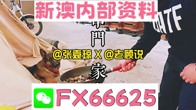 新澳門(mén)2025年資料大全管家婆，探索與預(yù)測(cè)，澳門(mén)未來(lái)展望，2025年資料大全與預(yù)測(cè)分析