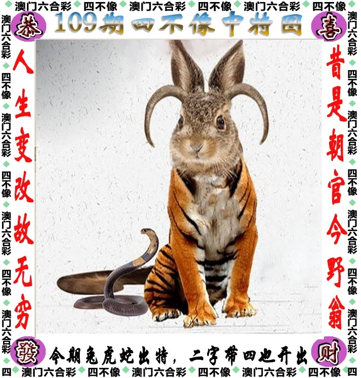 四不像王中王資料一肖，深度解析與探索，四不像王中王資料一肖，深度解析與探索揭秘