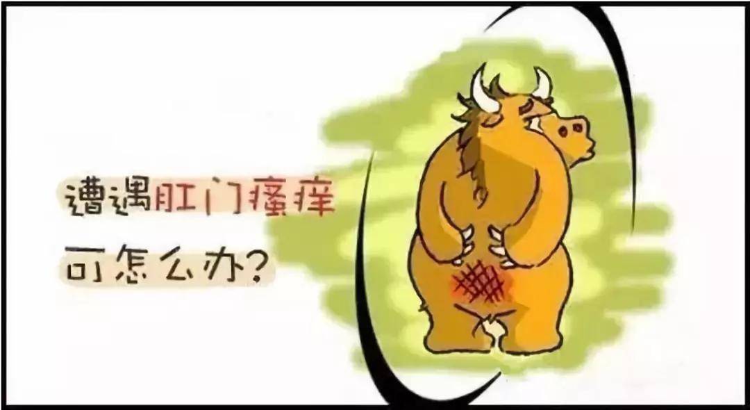 肛門(mén)瘙癢
