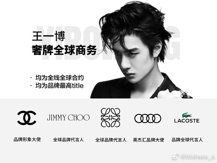 探尋王中王一肖中特，揭秘背后的秘密與獨特魅力，揭秘王中王一肖中特背后的秘密與獨特魅力