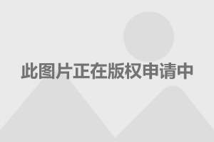 關(guān)于楊冪421事件，真相究竟如何？，楊冪421事件真相揭秘，究竟發(fā)生了什么？