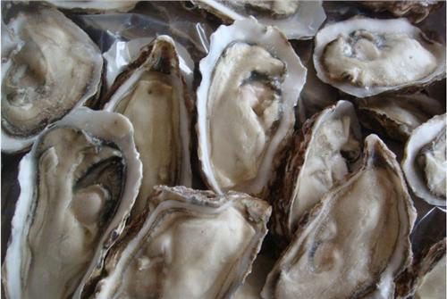 煅牡蠣的功效與作用，深入了解其健康益處，煅牡蠣的健康益處，功效與作用詳解