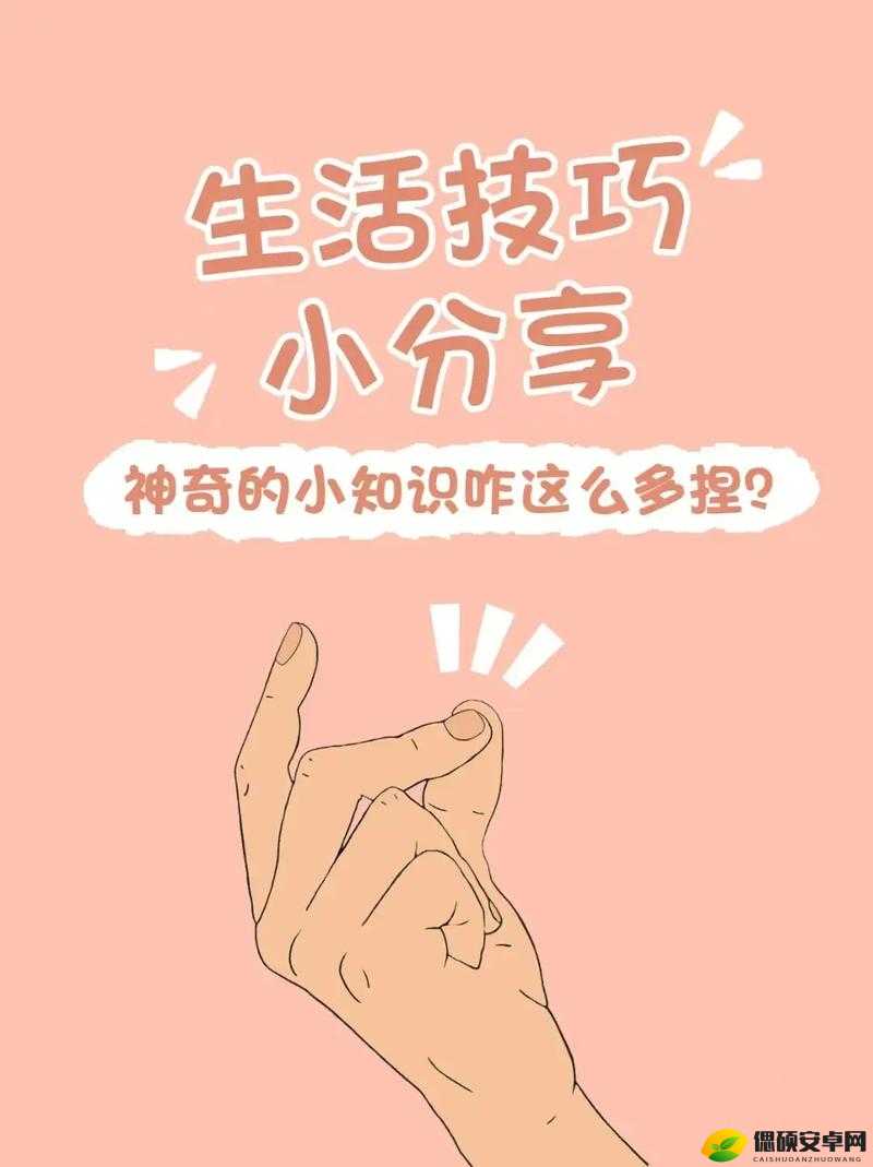 家里什么東西可以代替棒棒——創(chuàng)意替代方案與實用建議，家里物品替代棒棒，創(chuàng)意替代方案大揭秘
