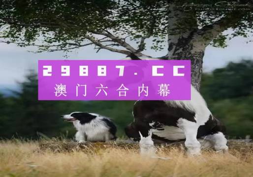 澳門資料免費大全，探索澳門之旅的全方位指南（到2025年），澳門全方位指南，免費資料大全（直至2025年探索之旅）