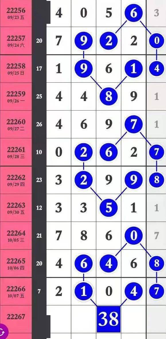 尋找一肖二碼中特站，揭開精準(zhǔn)預(yù)測的神秘面紗，揭開神秘面紗，尋找精準(zhǔn)預(yù)測的一肖二碼中特站揭秘之旅