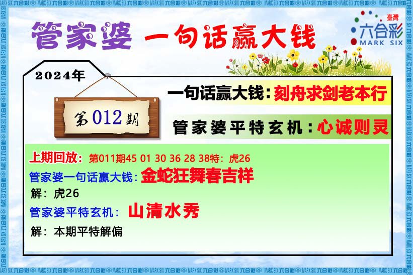 揭秘王中王資料，一肖中特管婆的神秘面紗，揭秘王中王資料與神秘管婆，一肖中特獨(dú)家解析