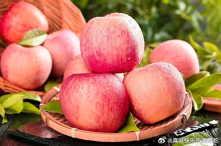 chenweixia 第8頁