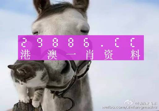 平特一肖金碼論壇王中王——深度解析與SEO優(yōu)化策略，平特一肖金碼論壇王中王，深度解析與SEO策略探討
