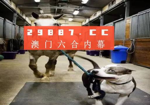 澳門一肖一碼一必中秘訣與一肖同舟前進的奧秘，澳門一肖一碼必中秘訣與奧秘，同舟前進的幸運之旅