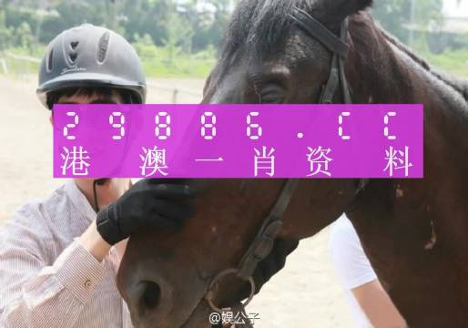 澳門一肖一碼一必中一肖，同舟前進的奧秘與策略，澳門一肖一碼必中策略與前進奧秘，同舟共濟的揭秘與策略