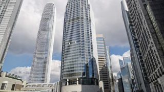 香港王中王特一肖，揭秘背后的故事與奧秘，揭秘香港王中王特一肖背后的故事與奧秘