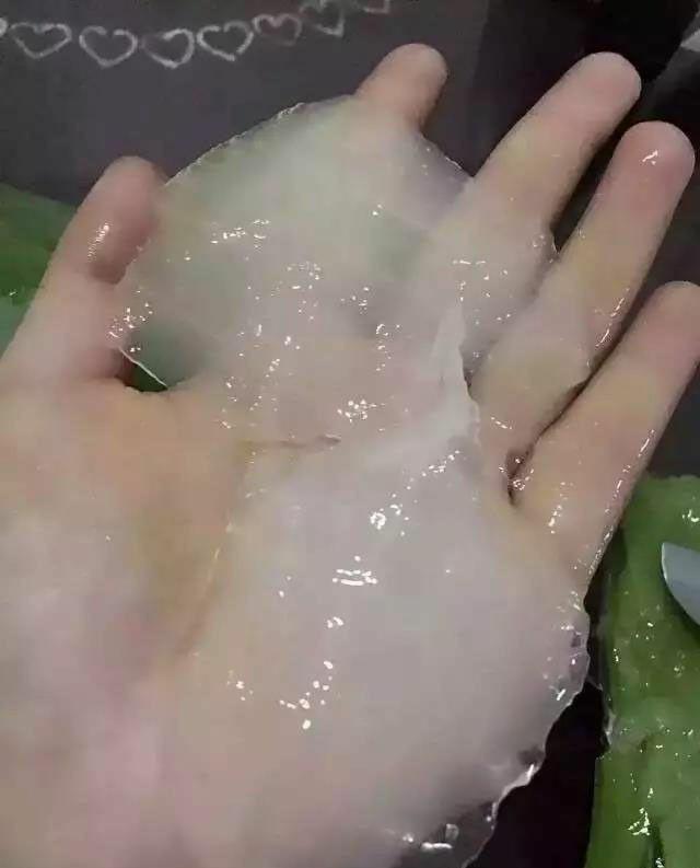 蘆薈膠的作用和功效，全面解析蘆薈膠的神奇效果，蘆薈膠的神奇功效與全面解析作用