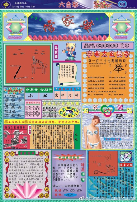 揭秘神秘的4不像一肖圖王中王，深度解析與SEO優(yōu)化策略，深度解析神秘的4不像一肖圖王中王，SEO優(yōu)化策略揭秘