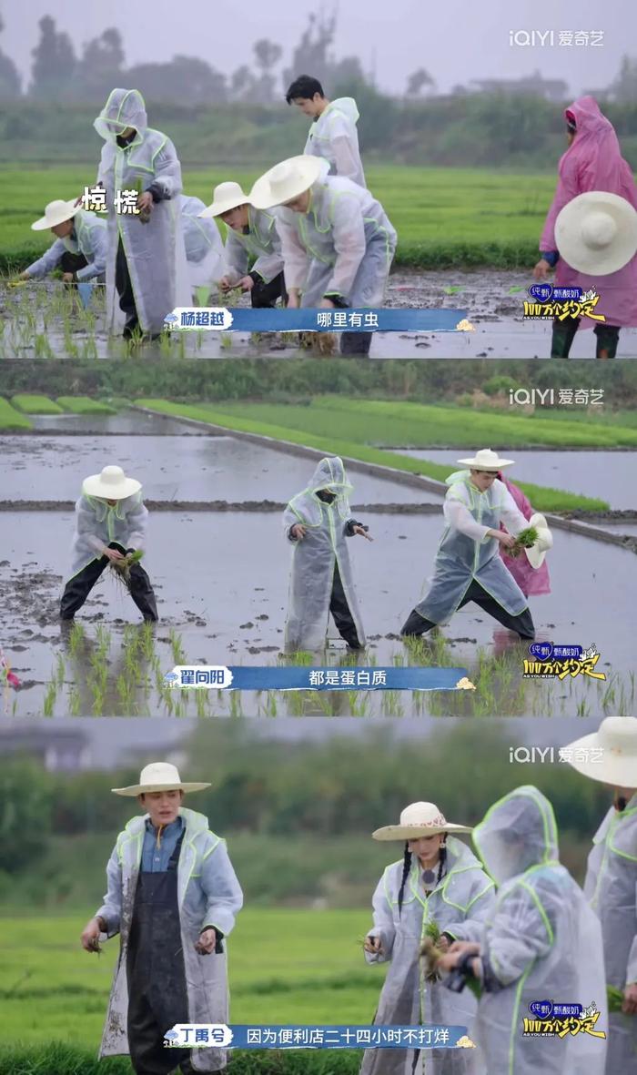 情侶間的浪漫插秧，探索不一樣的情感交流方式，情侶間的獨(dú)特浪漫，插秧式情感交流探索