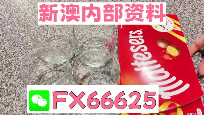 澳門49圖正版資料，探索與解析，澳門49圖正版資料深度解析與探索