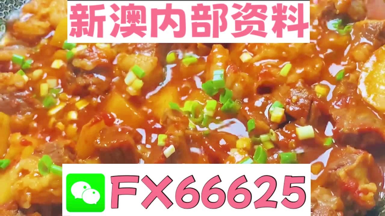 SEO策略探索與優(yōu)化