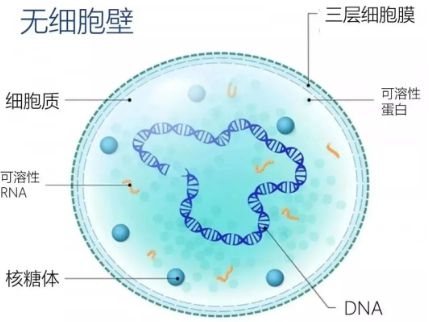 香港 第223頁