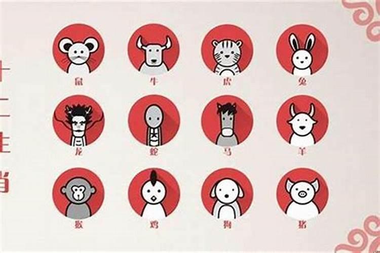 一肖二肖是什么意思——深度解析中國民俗中的生肖文化，深度解析中國民俗中的生肖文化，一肖二肖的含義與故事