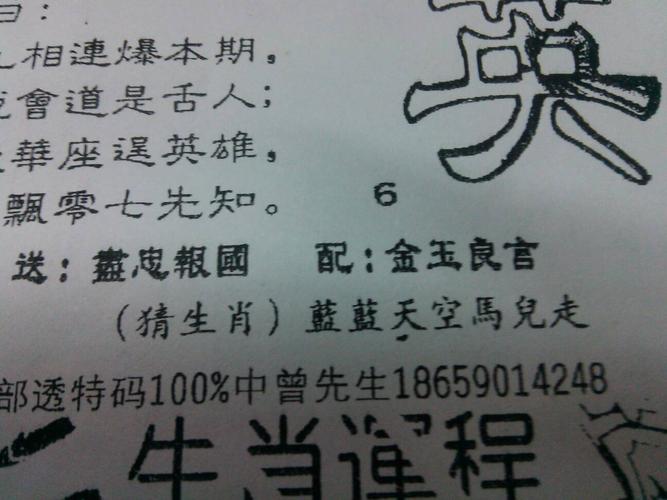 揭秘買(mǎi)一注猜生肖，背后的秘密與策略，揭秘生肖彩票背后的秘密與策略，一注猜中的奧秘