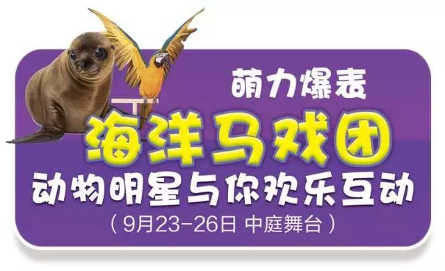 新奧門(mén)天天開(kāi)獎(jiǎng)資料大全，探索與解析，新奧門(mén)天天開(kāi)獎(jiǎng)資料大全，深度探索與解析