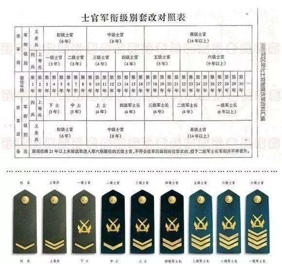 軍士長是什么級別待遇，軍士長級別待遇，揭秘軍隊高級別榮耀與特權(quán)